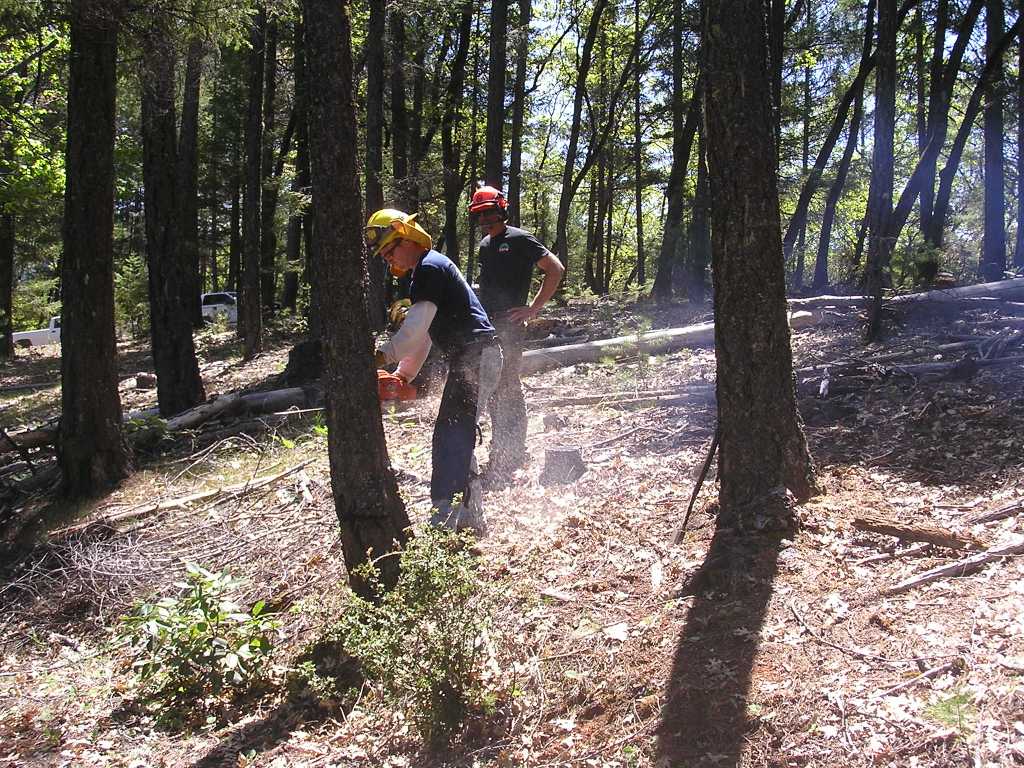 loading Gallery/Training/Chainsaw 7may2010/fullsize/100510 014.JPG... or select a thumbnail